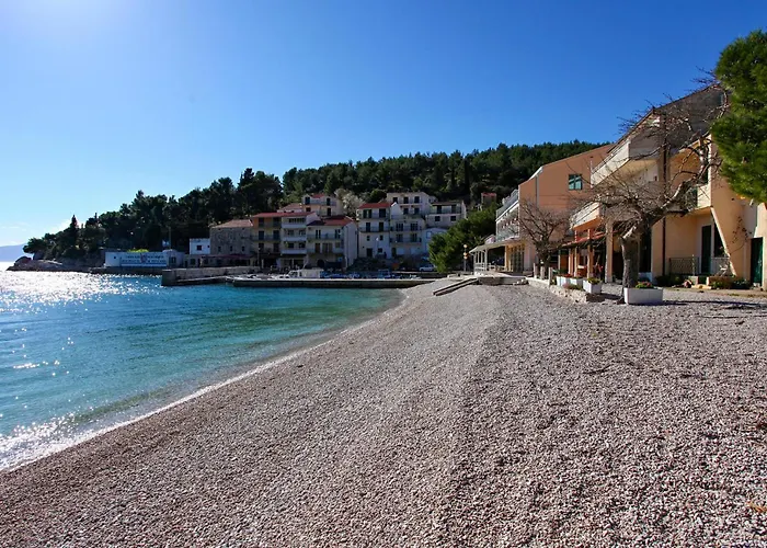 Pet Friendly In With Wifi *